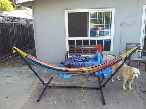 Vivere Double Cotton Hammock with Space Saving Steel Stand, Upgraded Polyester End Strings 450 lb Capacity - Premium Carry Bag Included - USA Grown Cotton (Blue Lagoon) customer photo 1