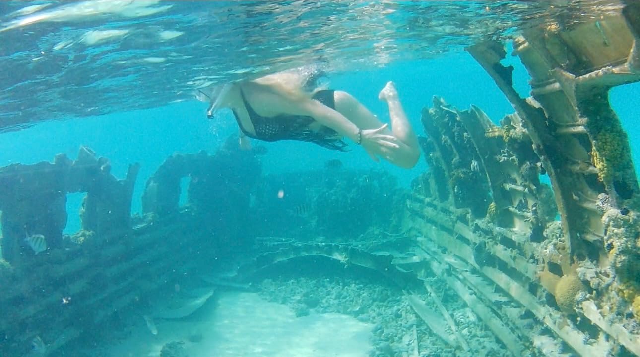 Cressi Panoramic Wide View Mask & Dry Snorkel Kit for Snorkeling, Scuba Diving - Pano 4 & Supernova Dry: Designed in Italy customer photo 1
