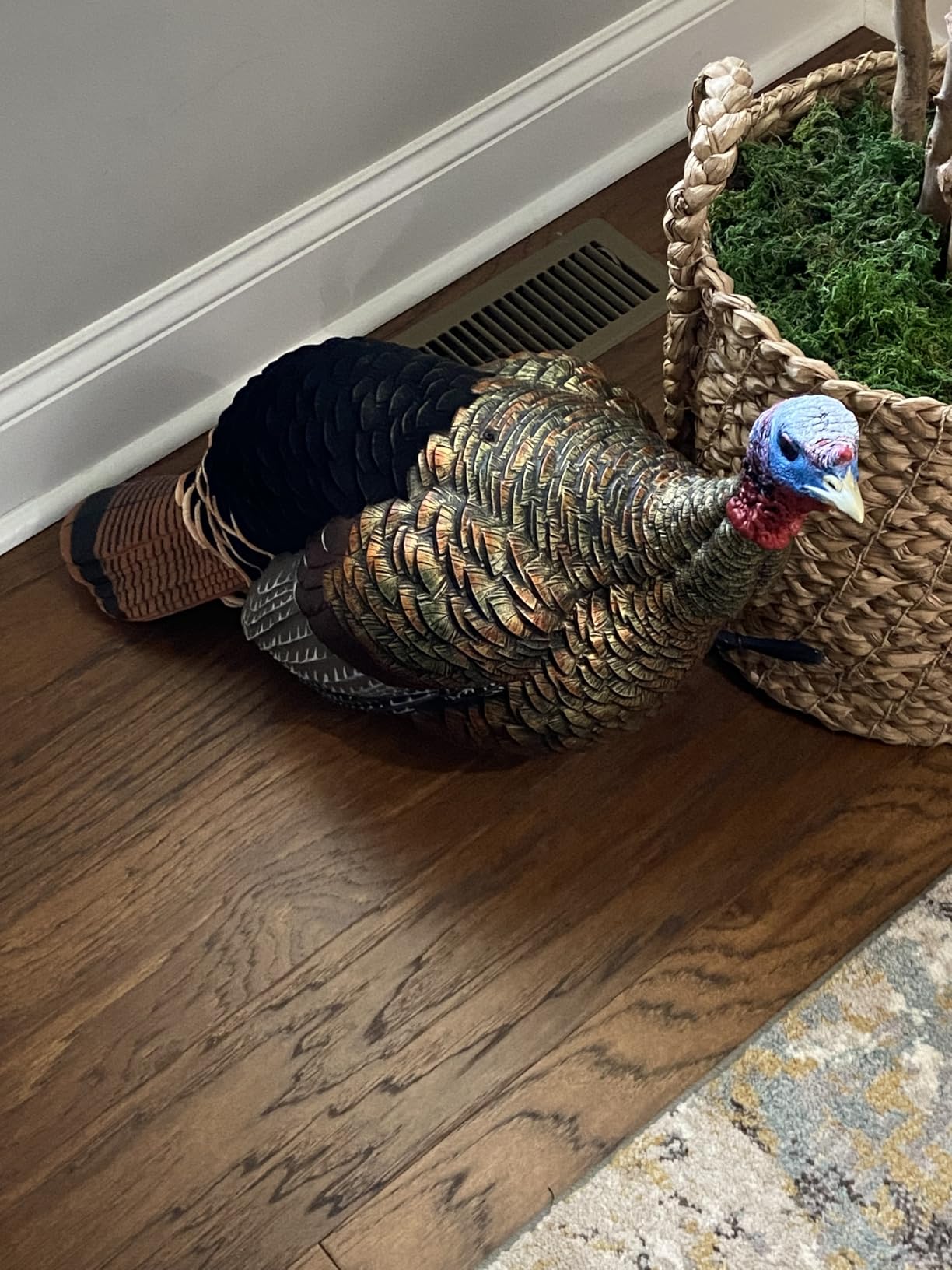 Avian-X HDR Jake Turkey Decoy | Rugged Durable Realistic Lifelike Quarter-Strut Body Standing Hunting Decoy with 2 Removable Heads, Mounting Stake & Carry Bag customer photo 1