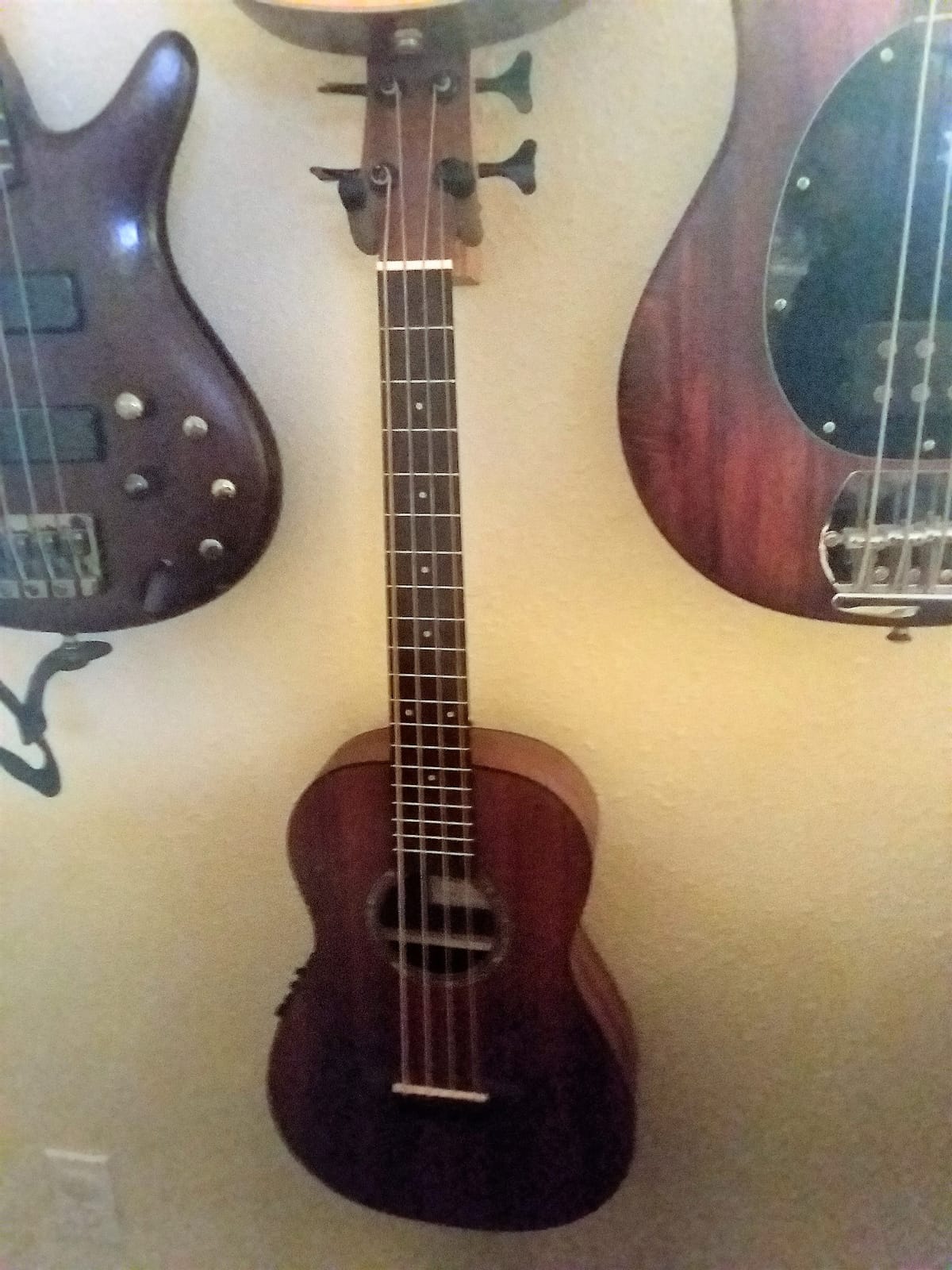 Cordoba Mini II Acoustic Electric Bass MHE customer photo 2