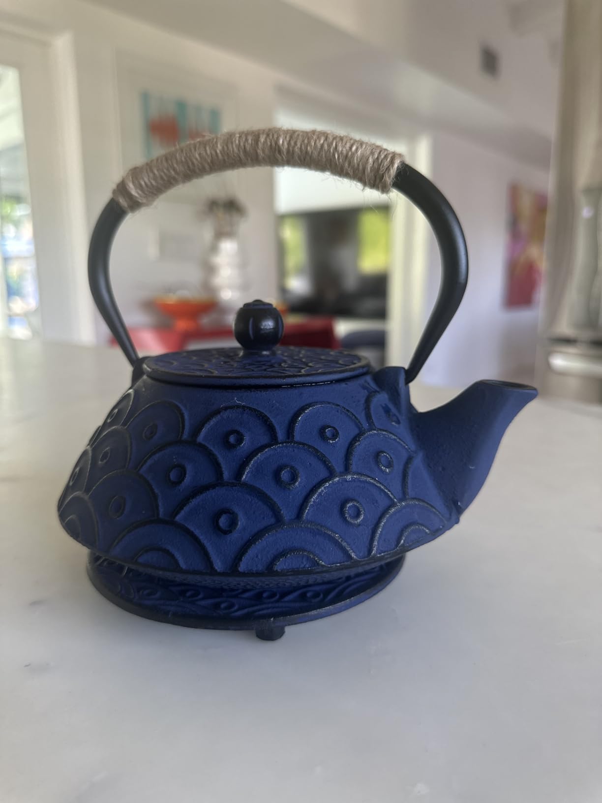 Japanese Style Cast Iron Teapot Set Tetsubin Kettle with Infuser | Tetsubin Kettle with Trivet 4 Tea Cups Hemp Rope Asian Gift for Adults Parents (Fish Scale Pattern, Blue, Anti Rust) customer photo 1