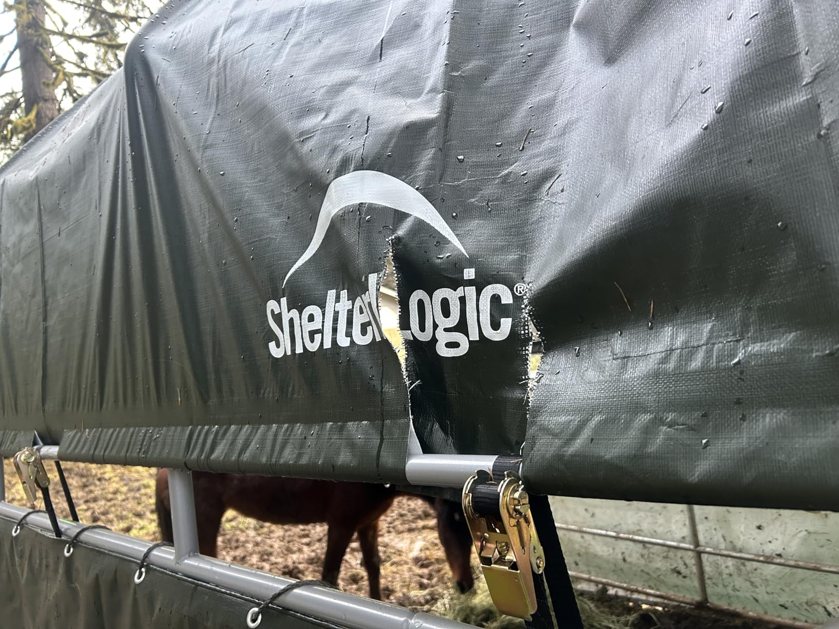 ShelterLogic 10' x 10' Powder Coated Green Corral Shelter Livestock Shade customer photo 1