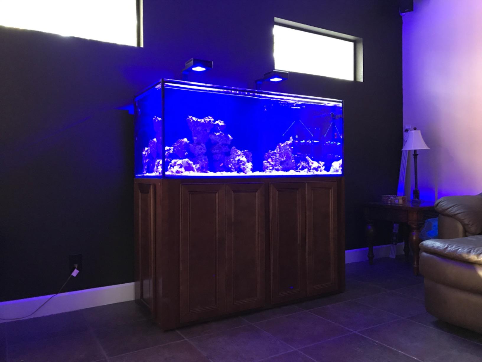 Empire USA Starfire Glass Aquarium 60x24x24 Inch 150 Gallon | High-clarity Starfire glass for crystal-clear viewing experience customer photo 2