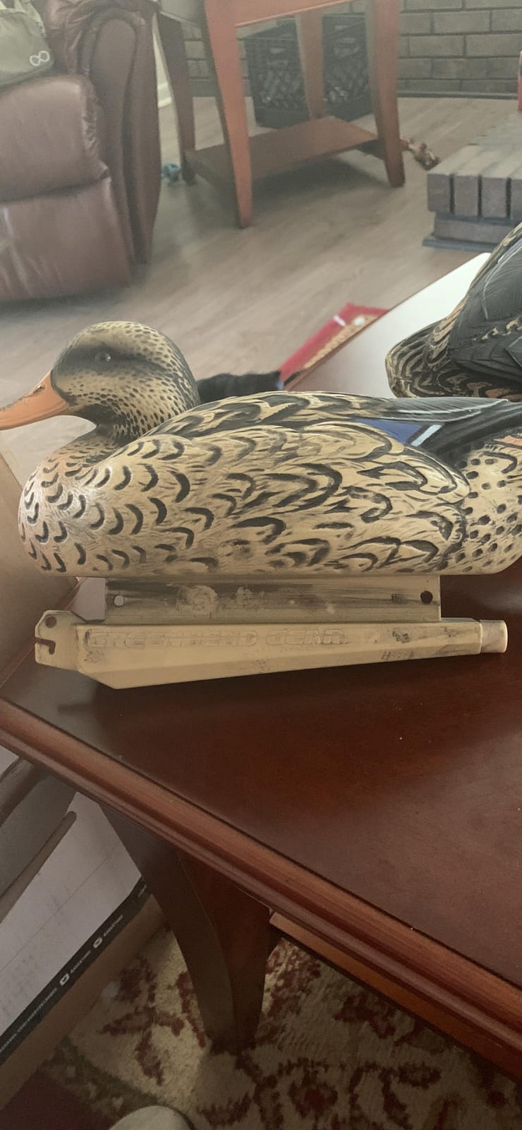 Avery GHG Essential Mallard Duck Decpus - 12 Pack | Realistic Durable Floating Waterfowl Hunting Set with Weighted Self-Righting Keels, 6 Drake & 6 Hen Floaters, 12-Pack (70010) customer photo 1