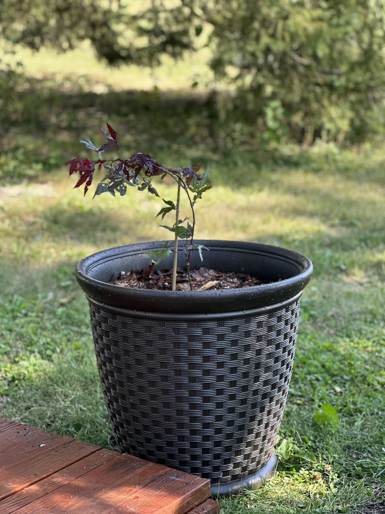 Suncast Sonora 22 Inch Plastic Wicker Indoor or Outdoor Decorative Garden Flower Planter customer photo 2
