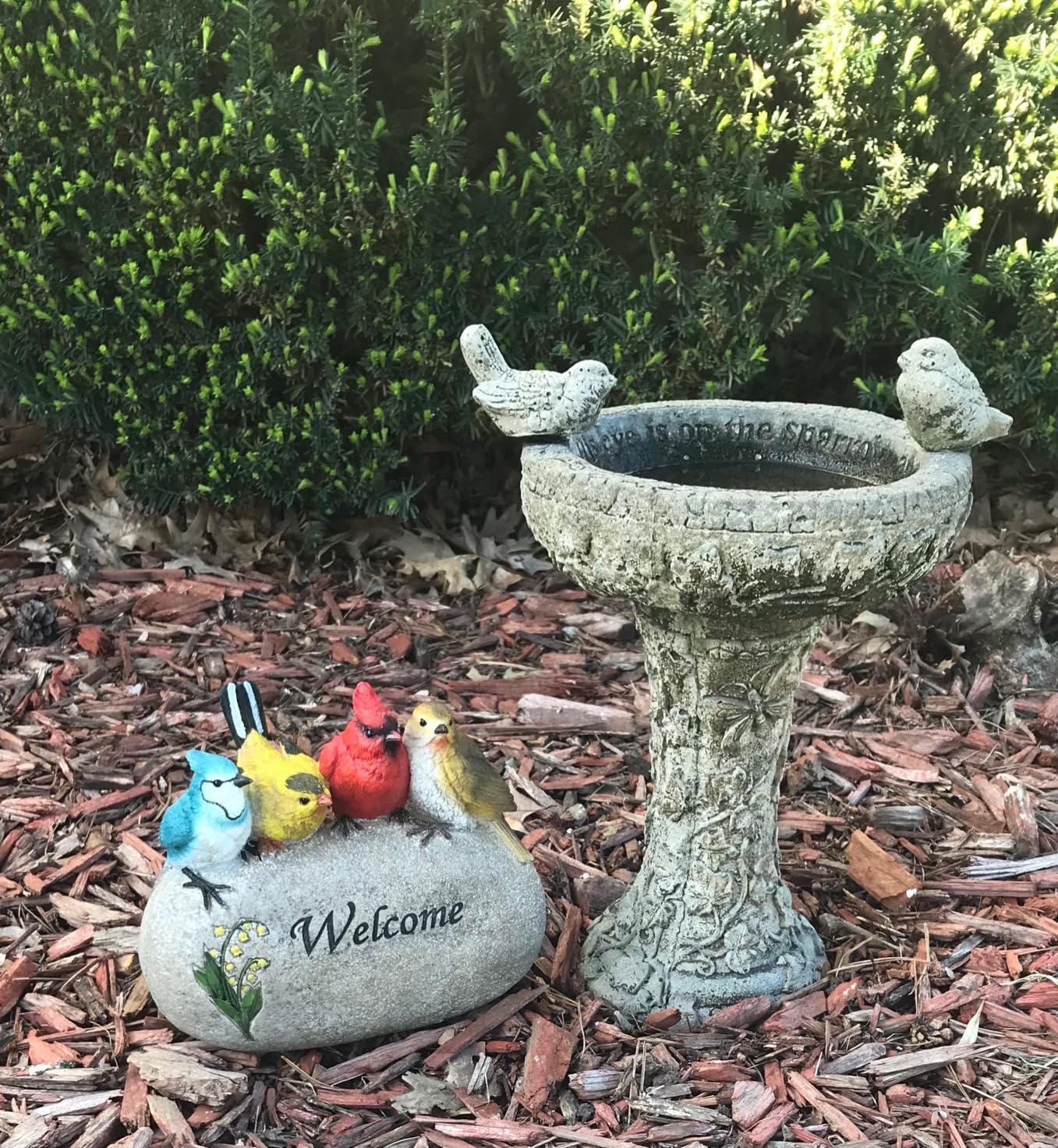 Design Toscano Birdy Welcome Garden Stone Statue: Medium customer photo 2