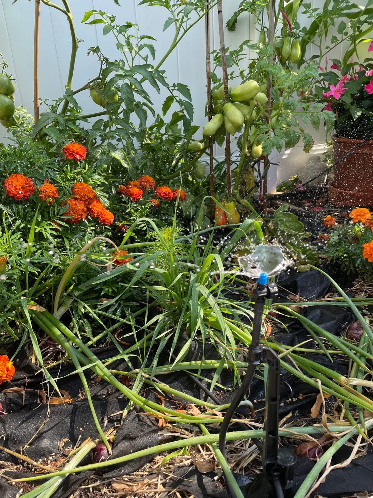 Rain Bird LNDDRIPKIT Drip Irrigation Kit customer photo 2