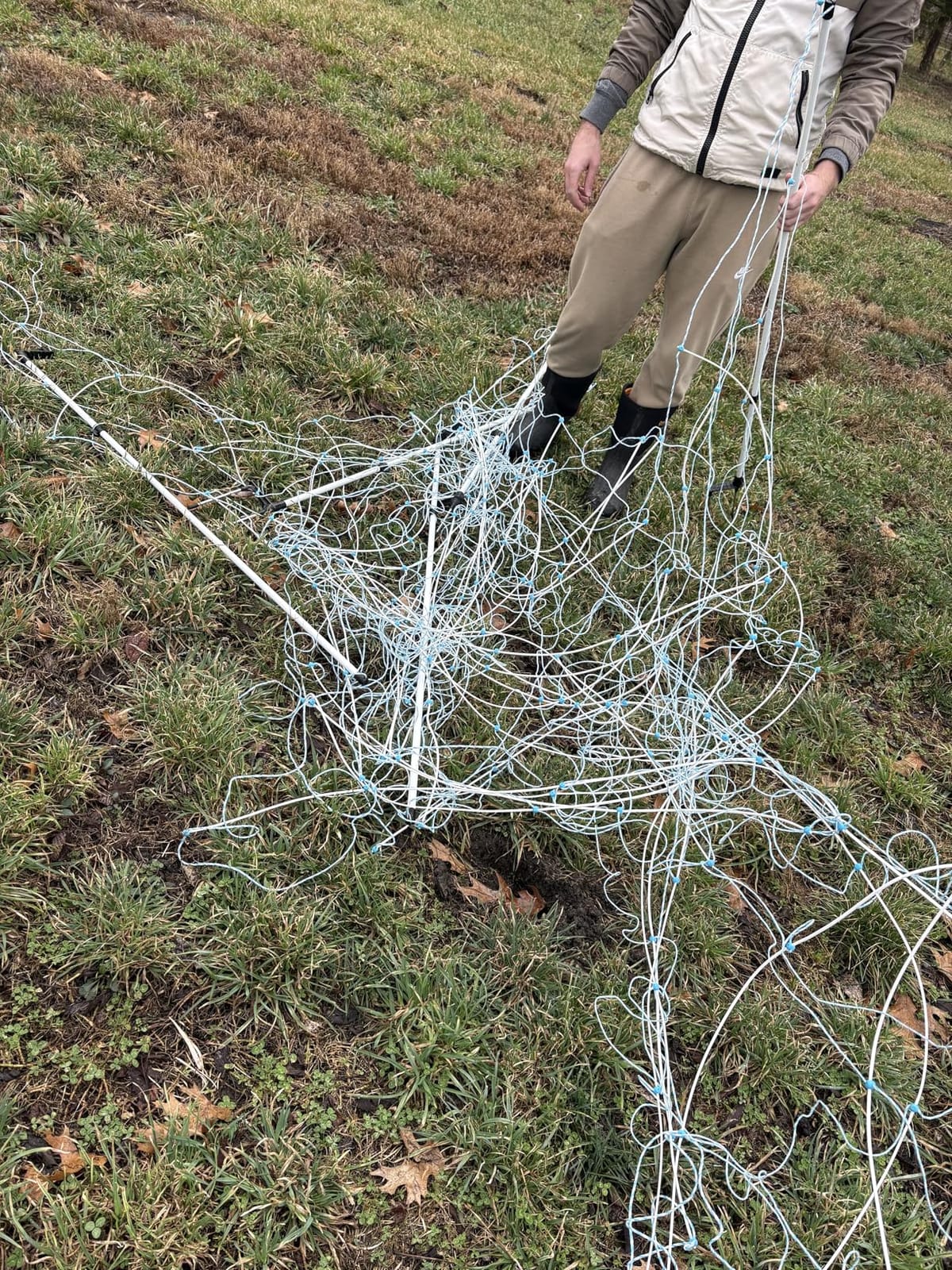 Electric Horse Netting 48
