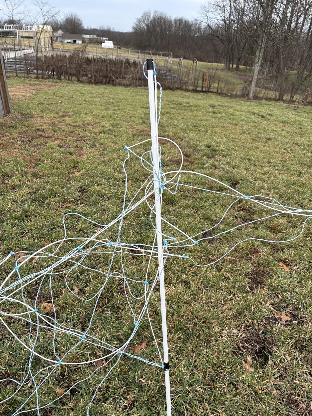 Electric Horse Netting 48