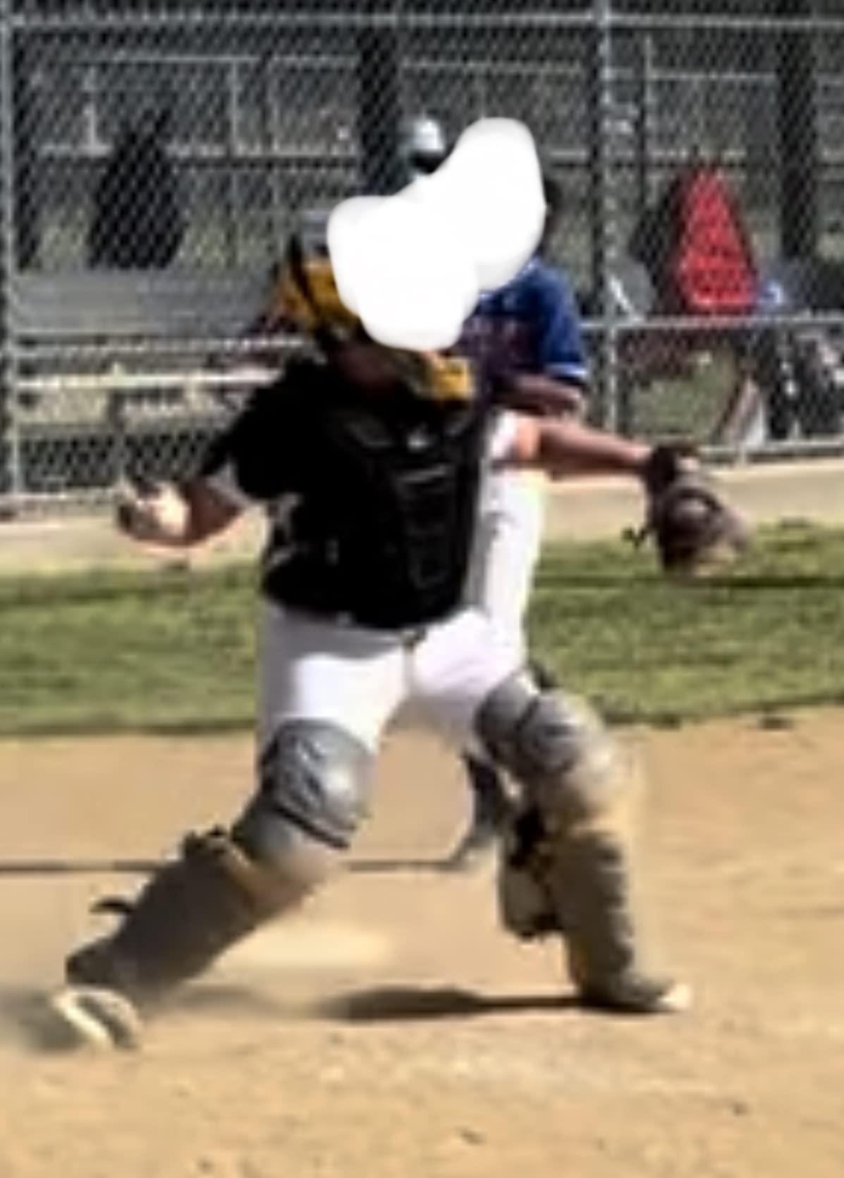 Champro Optimus MVP Chest Protector customer photo 2