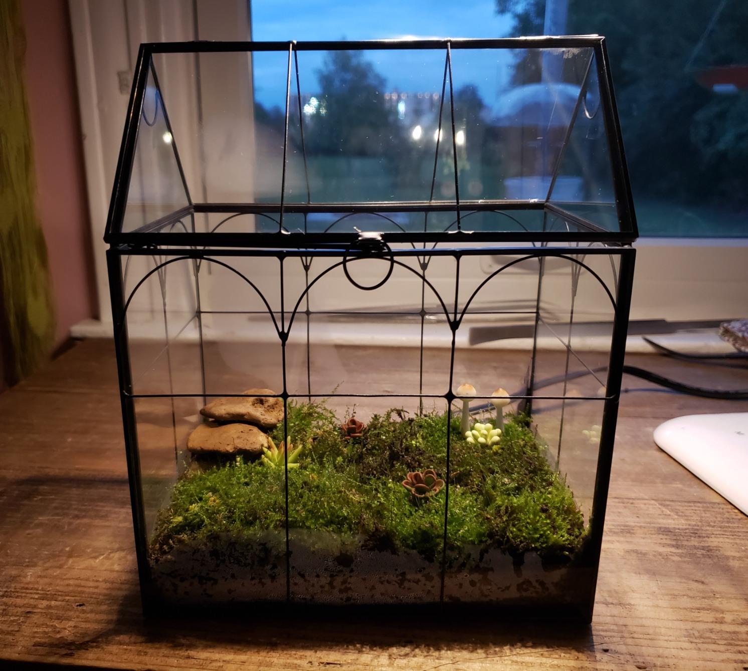 ELEGANTLIFE Glass Geometric Plant Terrarium, Succulent & Air Planter for Home Garden Office Decoration (Black House) customer photo 1