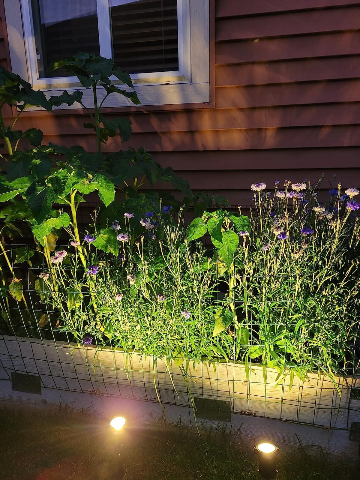 Landscape Outdoor IP65 Waterproof Garden Spotlights, 5W AC 120V Yard Flood Light, Metal Ground Stake Lawn, 3200K LED Spotlight with 1.5M UL-Listed Cord and 3-Plug (2 Packs) customer photo 2