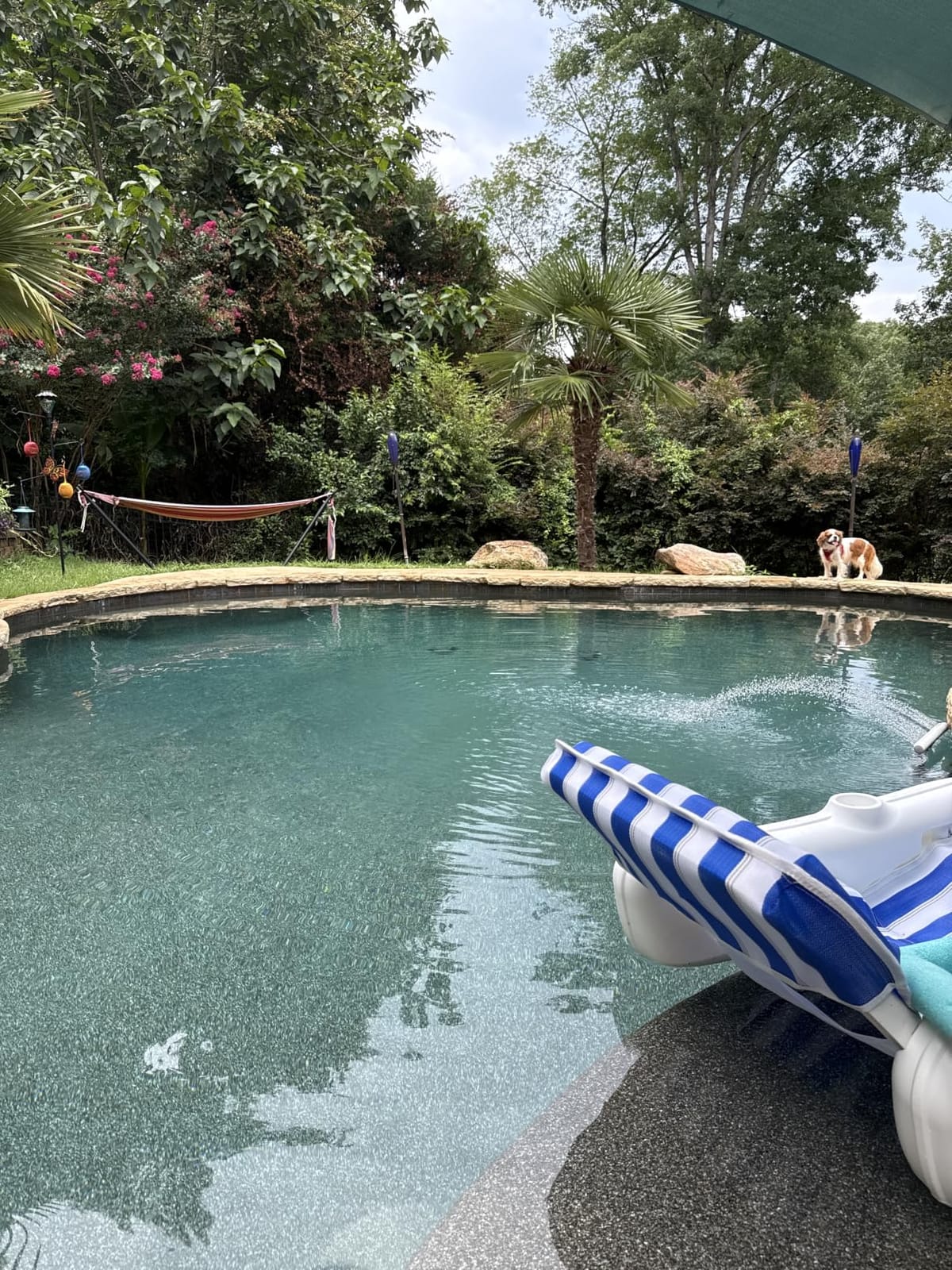 Hayward TurboCell Salt Cell for Pool Chlorination T-CELL-15 40,000 Gallons | W3T-CELL-15 Salt Chlorine Generator for In-Ground Pools T-15 Turbo Cell customer photo 1