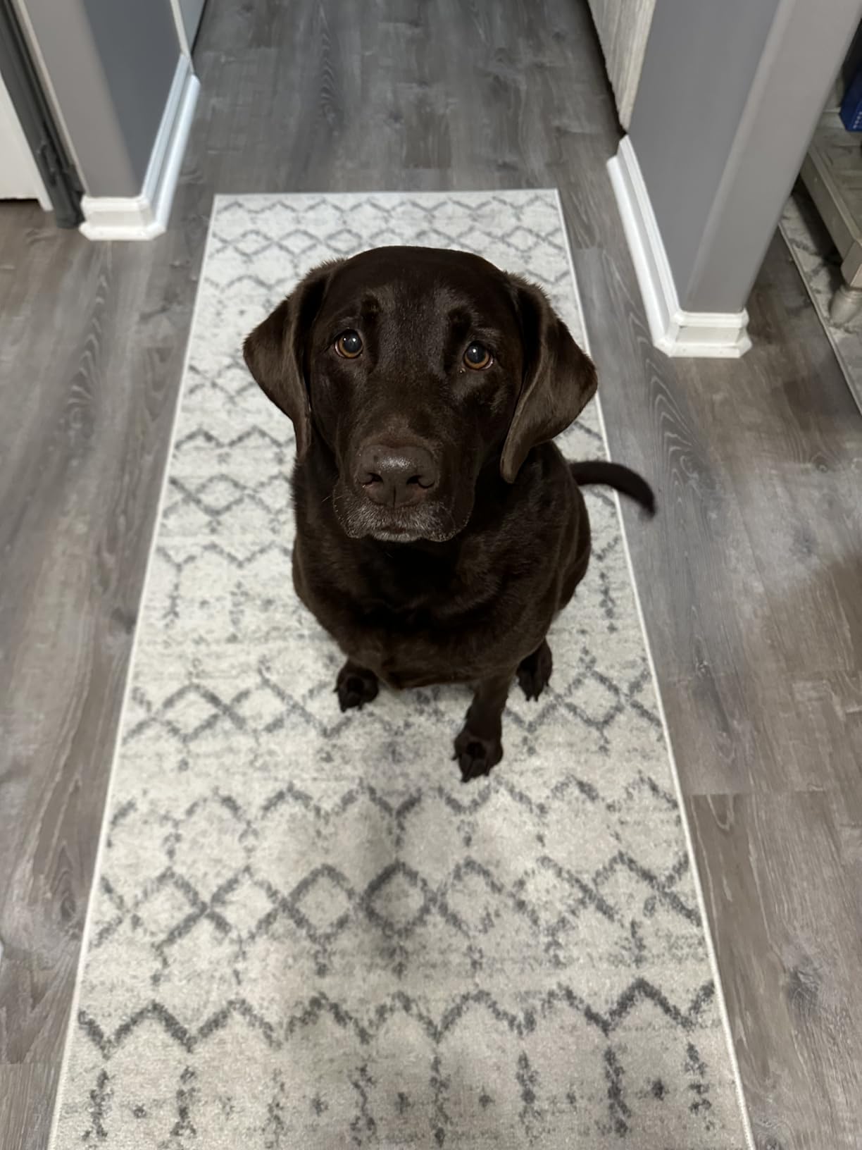 JONATHAN Y Boho Vintage Diamond Cream/Gray Indoor Area Rug 8X10 ft, Moroccan Hype for Living Room, Bedroom, Kitchen, Office, Easy-Cleaning, High Traffic, Pet-Friendly, Non-Shedding (MOH101B-8) customer photo 2