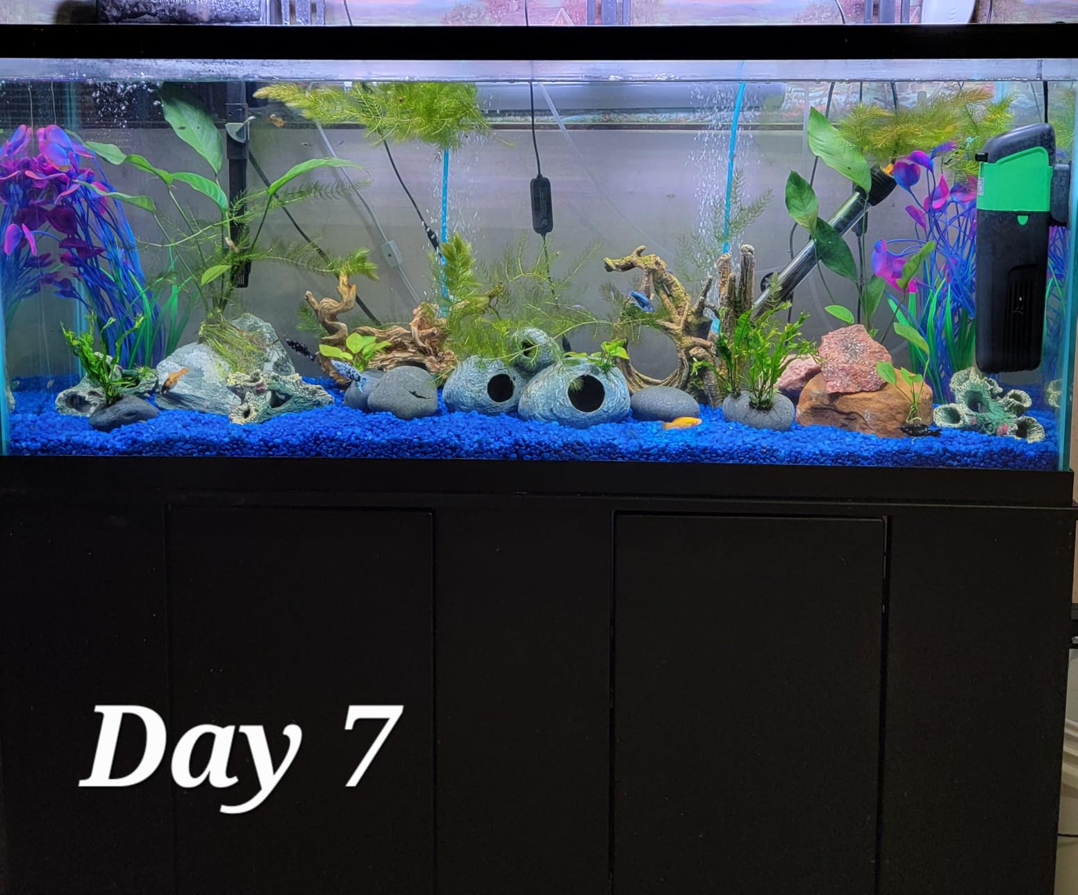 Internal Green Water Killer Aquarium Filter Tank U-V Pump customer photo 1