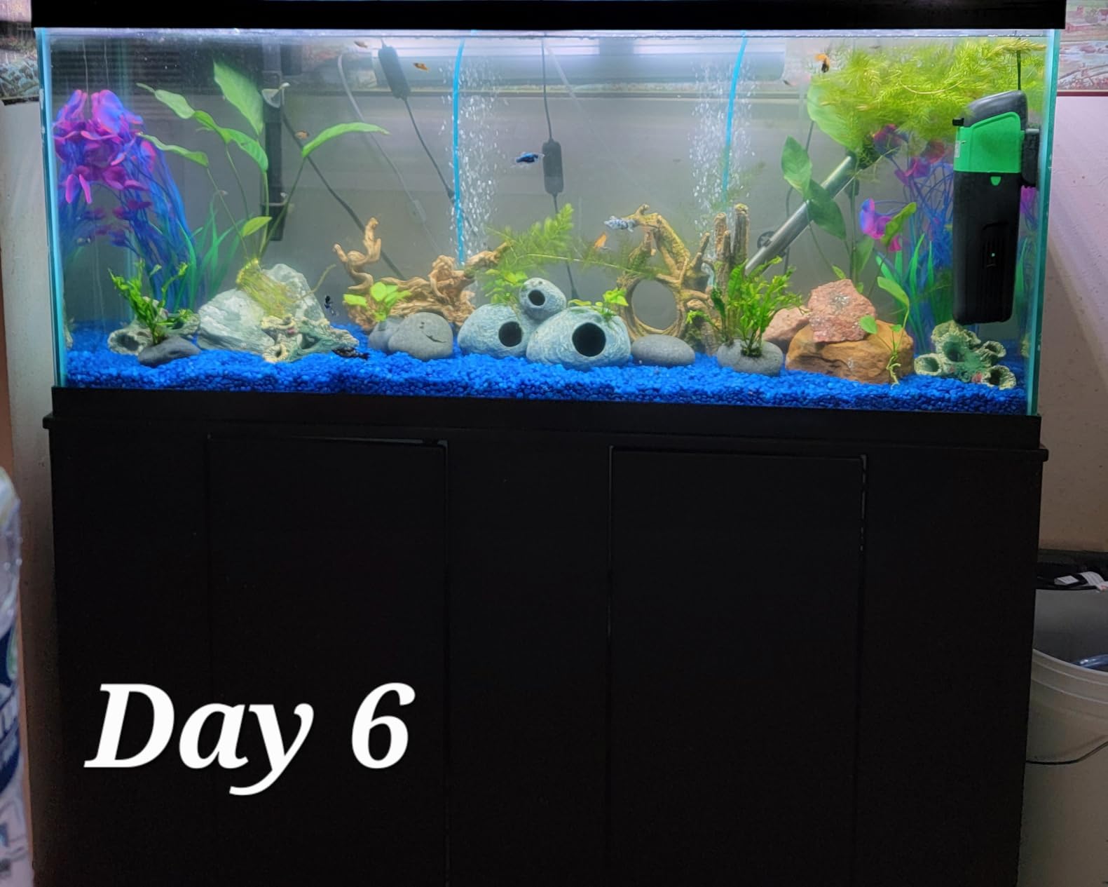 Internal Green Water Killer Aquarium Filter Tank U-V Pump customer photo 2