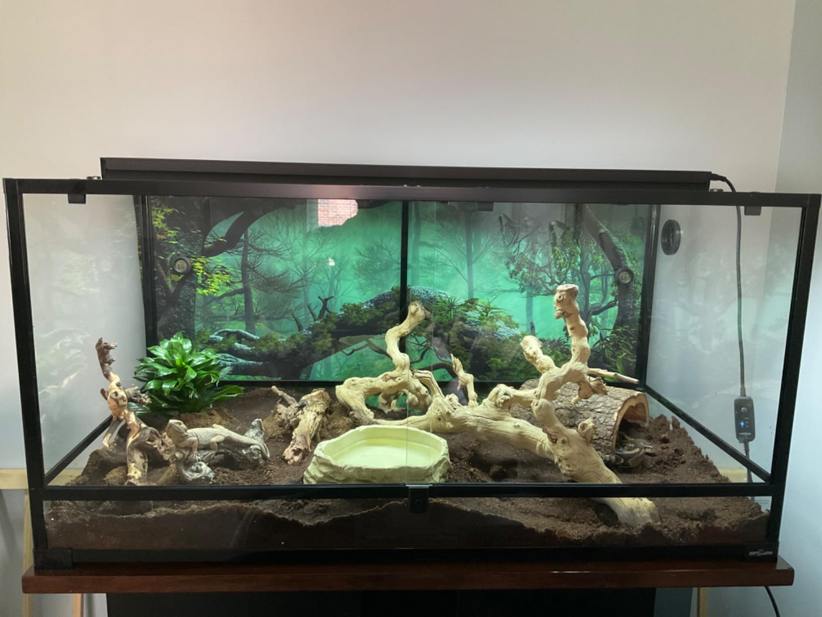 REPTIZOO Large Reptile Terrarium 120 Gallon, Tall & Wide Tempered Glass Reptile Tank 48