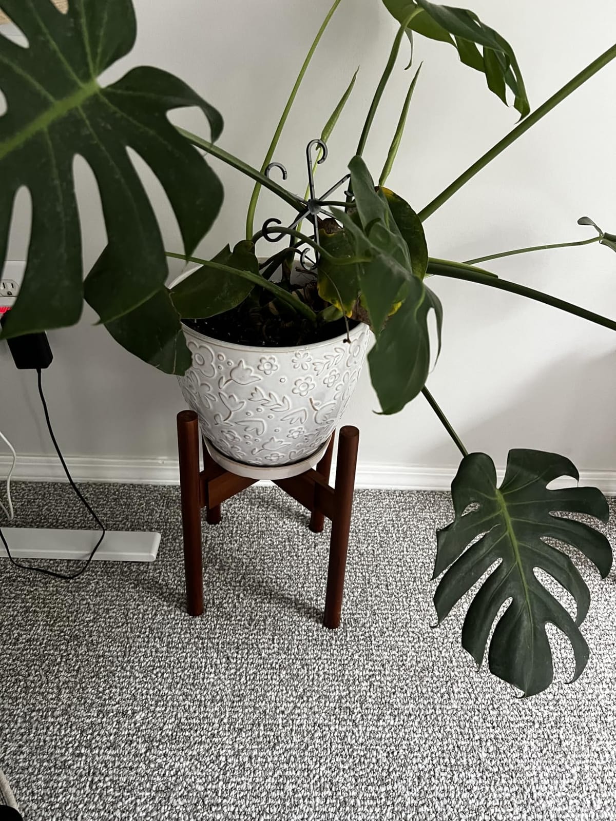 MUDEELA Plant Stand for Indoor, Bamboo Material, Dark Brown, 14.5 Inch Tall, Adjustable Width Fits 8-12 Inch Pot, Mid-century Modern Style, Single Tier Floor Plant Holder customer photo 1