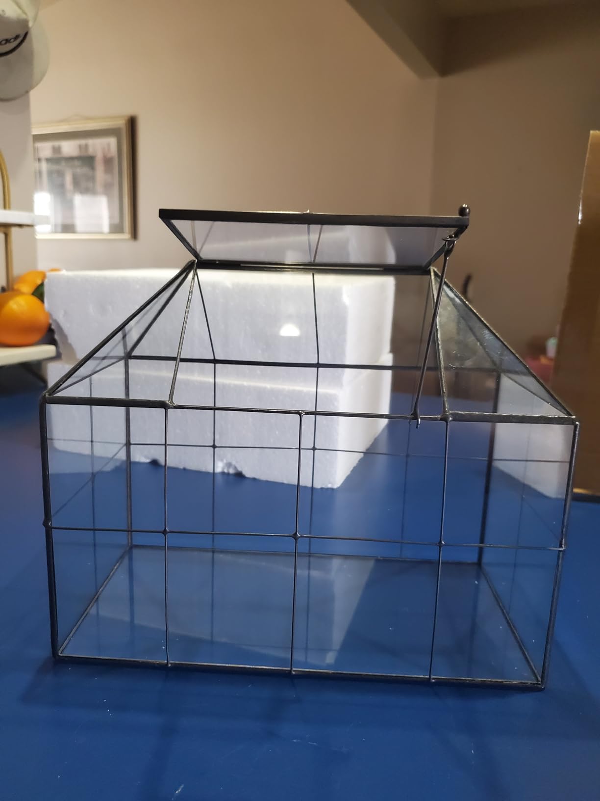 NCYP Glass Terrarium Planter with Lid for Small Succulent Plants, Grid House Shape Black Geometric Terrarium Pot, Home Garden Indoor Tabletop Decor, 9.84