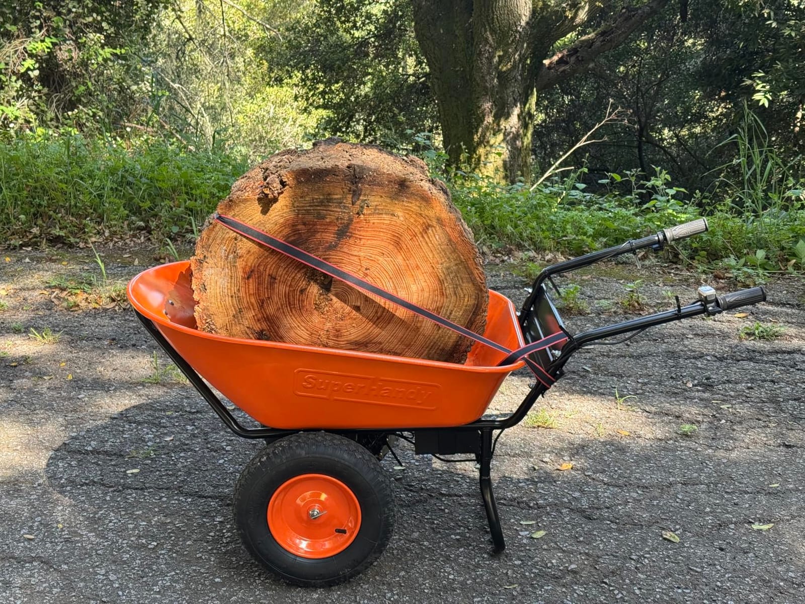 SuperHandy Electric Wheelbarrow Utility Cart, 24V, 330 lb, Power Wagon | Battery powered utility cart for soil, rocks, tools and yard loads; power dump supports garden and jobsite hauling customer photo 2