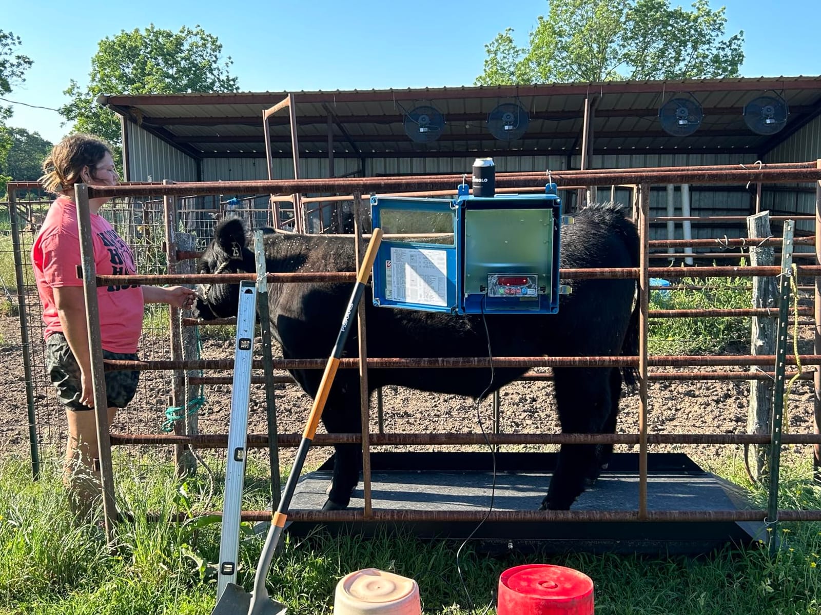 Large Farm Animal Scale/Digital Livestock Weighing Equipment, Capacity 4000 x 1 lb for Cattle, Horse, Goat, Cow, Alpaca, etc. (84x30) customer photo 1