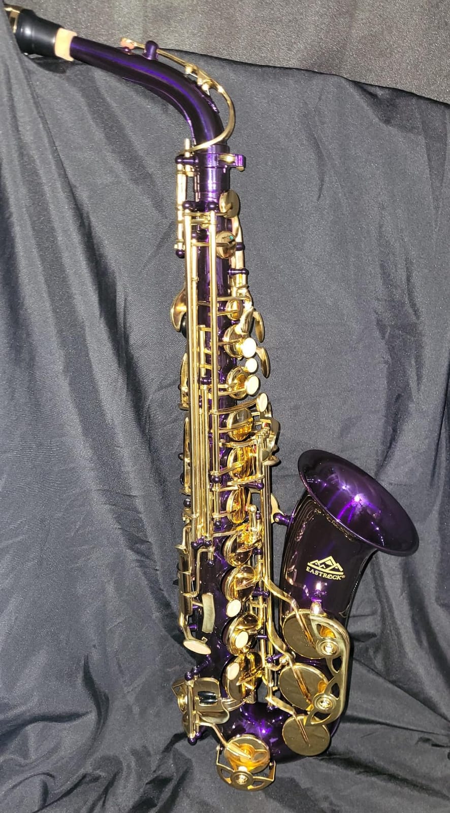 EASTROCK E Flat Alto Saxophone Blue/Golden Sax for Beginners and Students | Alto Sax Kit-Carrying Case, Mouthpiece, Reeds, Cushion Pads, Cleaning Kit, Gloves, Neck Strap for Practice & Performance customer photo 1