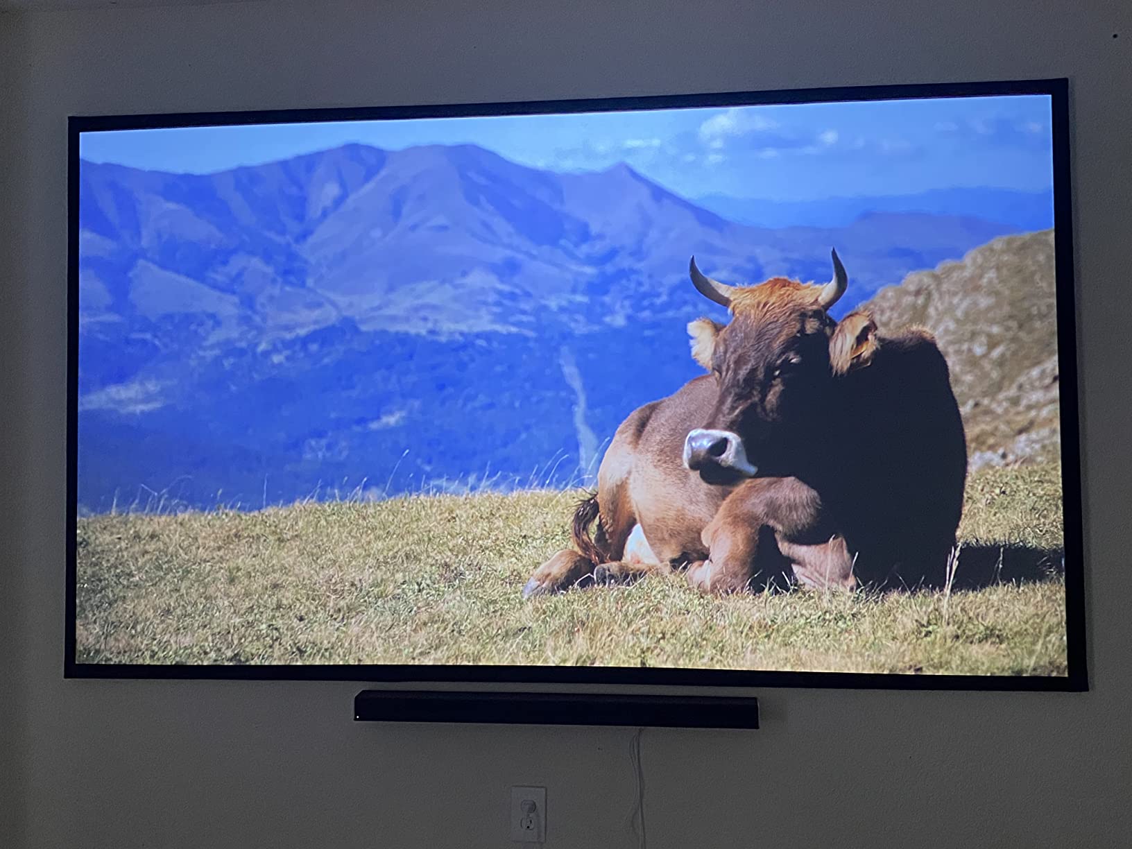 Projector Screen Material Ambient Light Rejecting Fabric 69x118 inch for Max 130 inch 16:9 Projection Screen DIY, Black Backing 4K Ultra HD Front Projection EVA Polymer Material (Grey) customer photo 1