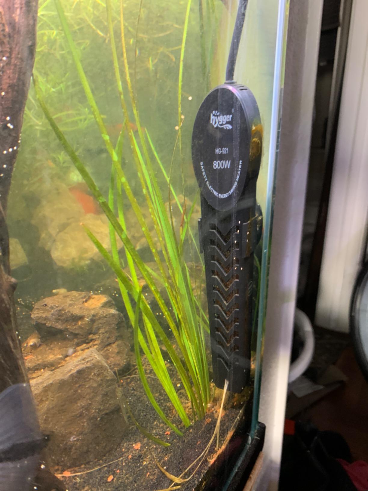 800W Aquarium Heater, Submersible Fish Tank Water Heater with External Color LED Digital Temperature Controller, Fast Heating for 120-180 Gallon customer photo 2