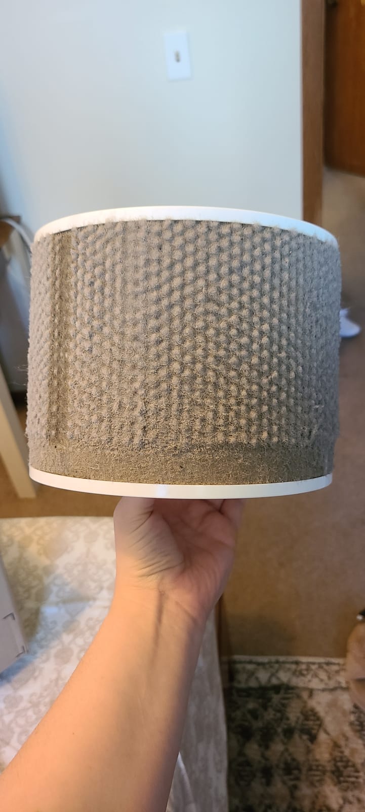 Levoit Air Purifier for Home Pets, Large Room Bedroom, AHAM VERIFIDE | HEPA Sleep Mode, Efficient Filter for Pet Dander, Odors, Captures Smoke, Dust, Pollen, Pet Lock, Core P350-P, Grey customer photo 2