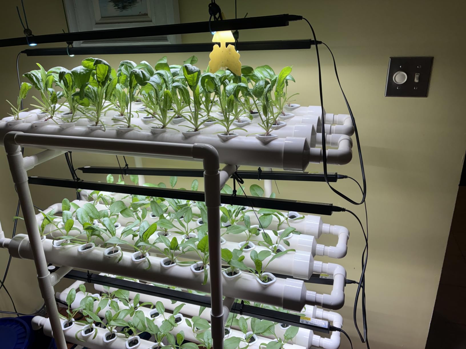 VIVOSUN Hydroponics Growing System 108 Plant Sites, 3 Layers 12 Food-Grade PVC-U Pipes Gardening System Grow Kit with Water Pump Timer, Nest Basket and Sponge for Leafy Vegetables customer photo 2