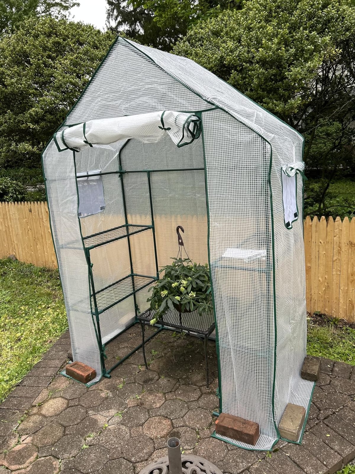 56x30x76 Mini Walk-in Greenhouse, Portable Plant House with 3-Tier Shelves | PE Cover, Roll-Up Door, 3-Tier Shelves, Steel Frame, Stakes and Ropes for Seedlings, Flowers and Seasonal Plant Protection customer photo 2