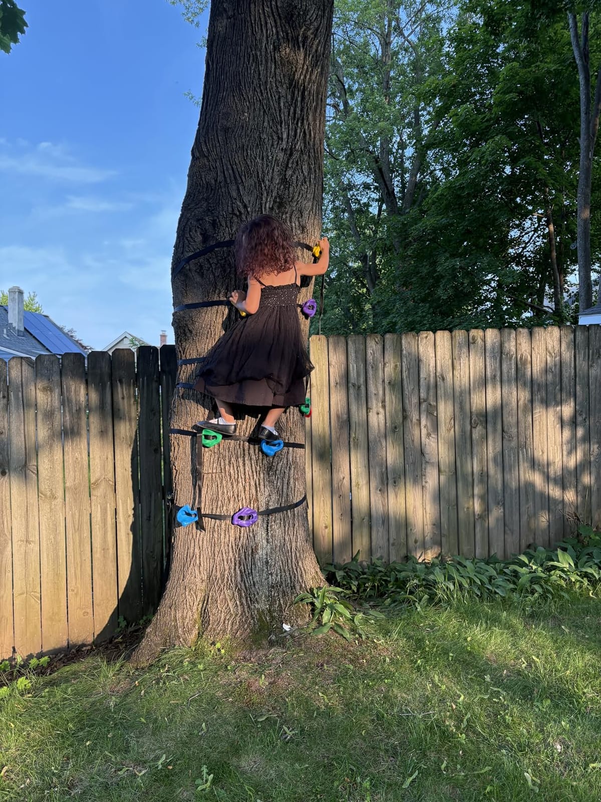 TOPNEW 12 Ninja Tree Climbing Holds for Kids Climber, Adult Climbing Rocks with 6 Ratchet Straps for Outdoor Ninja Warrior Obstacle Course Training customer photo 1