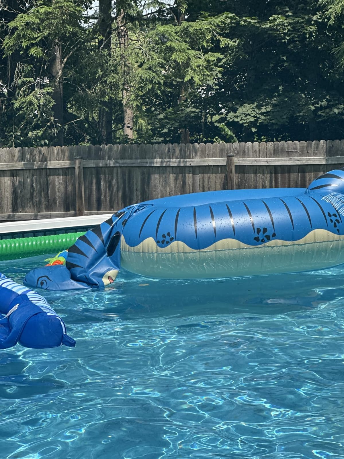 Jasonwell Inflatable Dinosaur Swimming Pool Float for Kids Boys Girls Adults 124'' Giant Tyrannosaurus Rex Floatie Summer Beach Ride on Party Pool Raft Lounge Toys customer photo 1