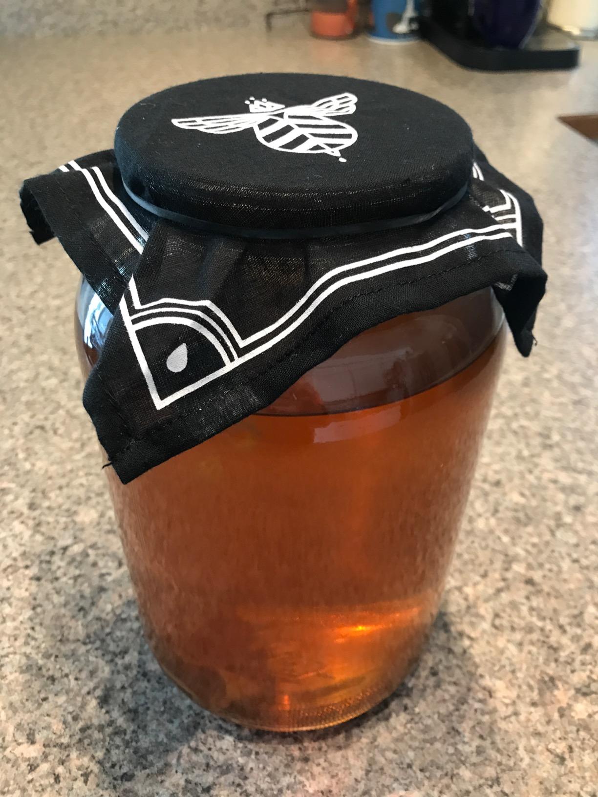 Craft A Brew Home Brewing Starter Kit Kombucha Tea Kit - Home Kombucha Kit - Fermentation Starter with Kombucha SCOBY - 1 Gallon customer photo 1