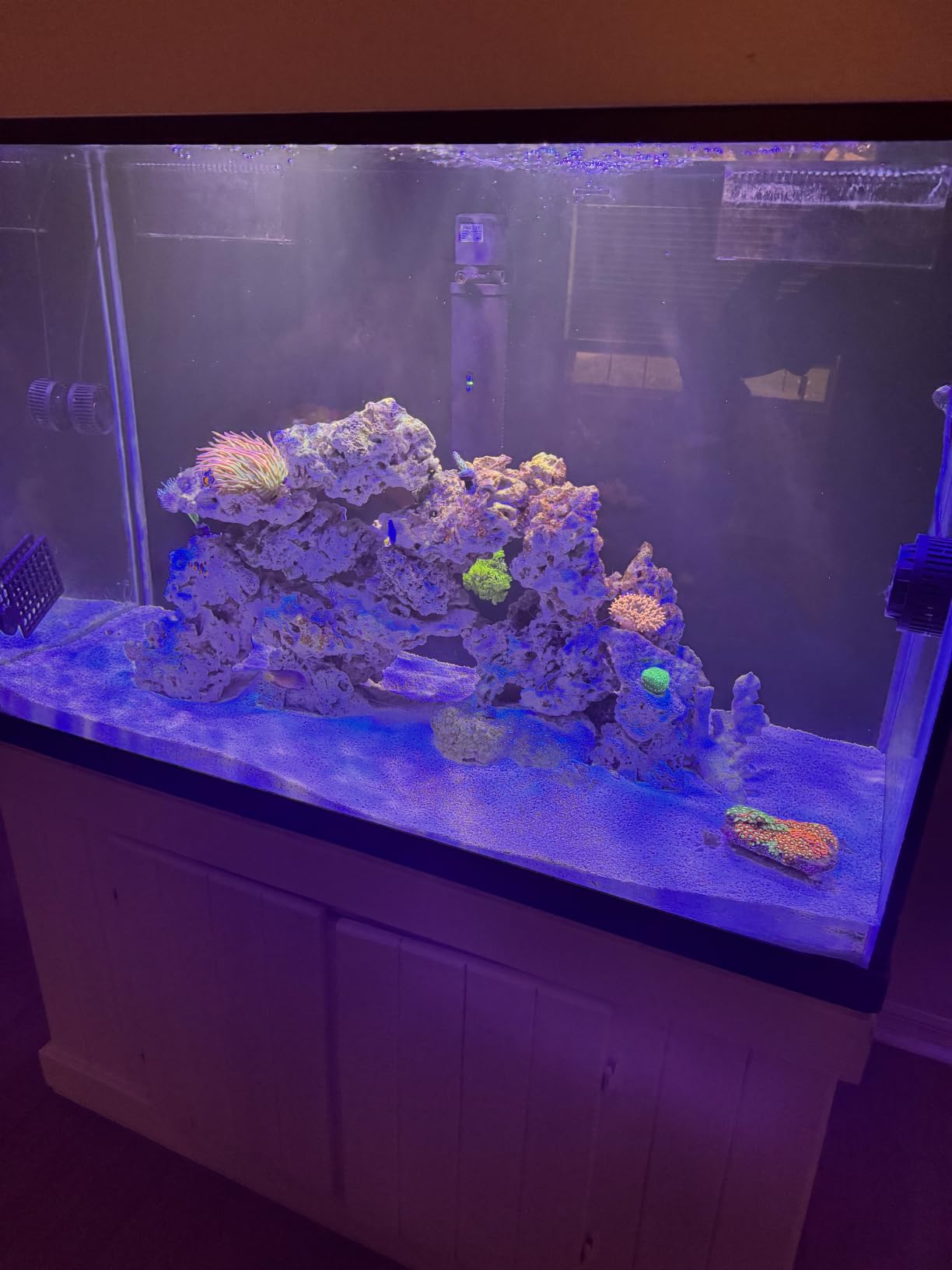 Aquatic Life Twist-in 4-Stage RO/DI Aquarium Filter, 75 GPD | Four filtration stages: sediment, carbon block, 75 GPD RO membrane, and color-changing DI resin customer photo 2
