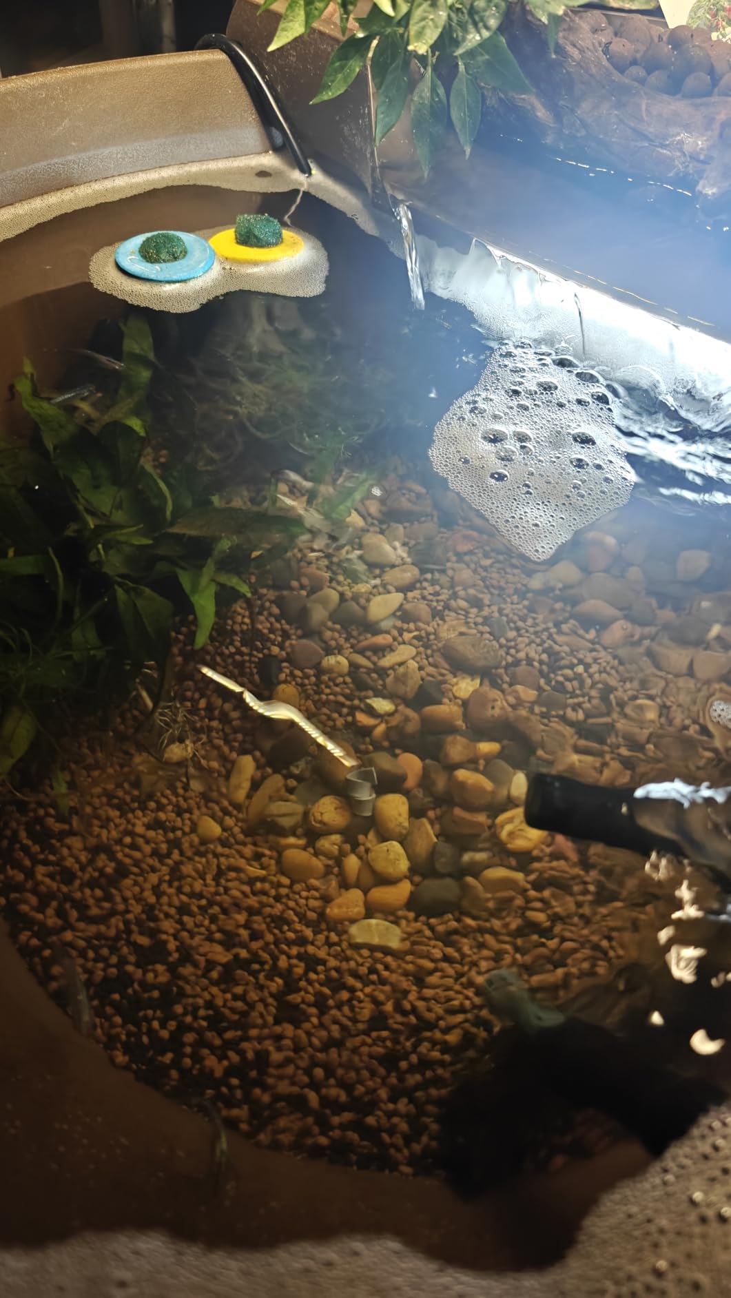 Aquascape AquaGarden Mini Pond Kit customer photo 1