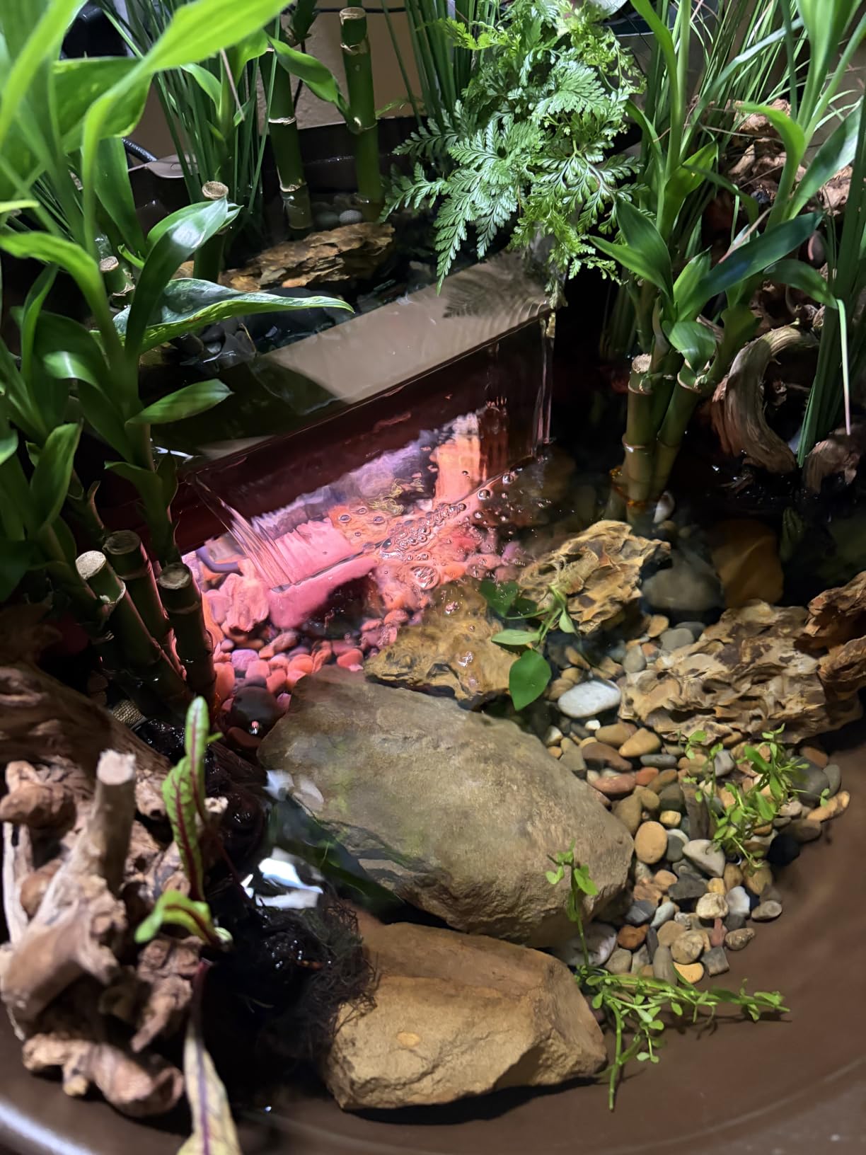 Aquascape AquaGarden Mini Pond Kit customer photo 2