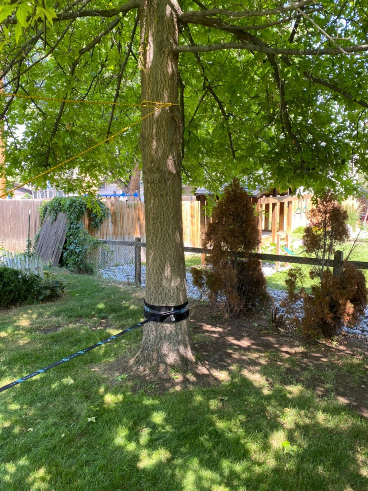 ZenMonkey Infinity Slackline Kit - 100 Foot Longline Slackline with Ergo Ratchet, Tree Protectors, Cloth Carry Bag and Instructions - Easy Setup for The Family, Kids and Adults customer photo 1