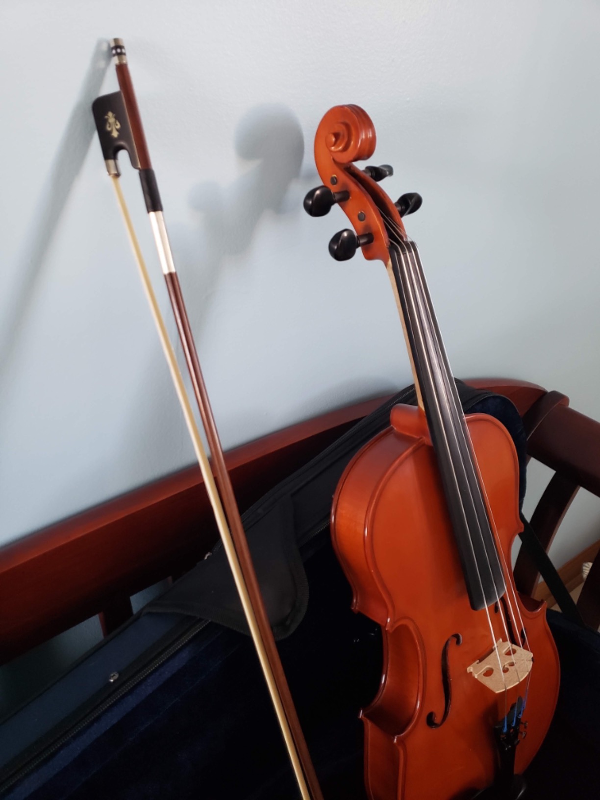 D Z Strad Viola Model 101 with Case and Bow (15.5