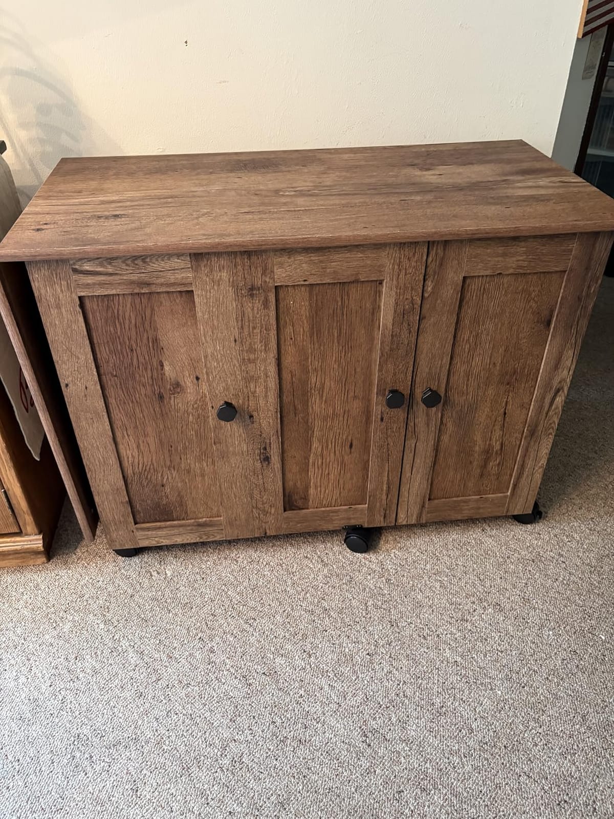 Sauder Miscellaneous Storage Sewing/Craft Cart/Pantry Cabinet, Vintage Oak Finish customer photo 1