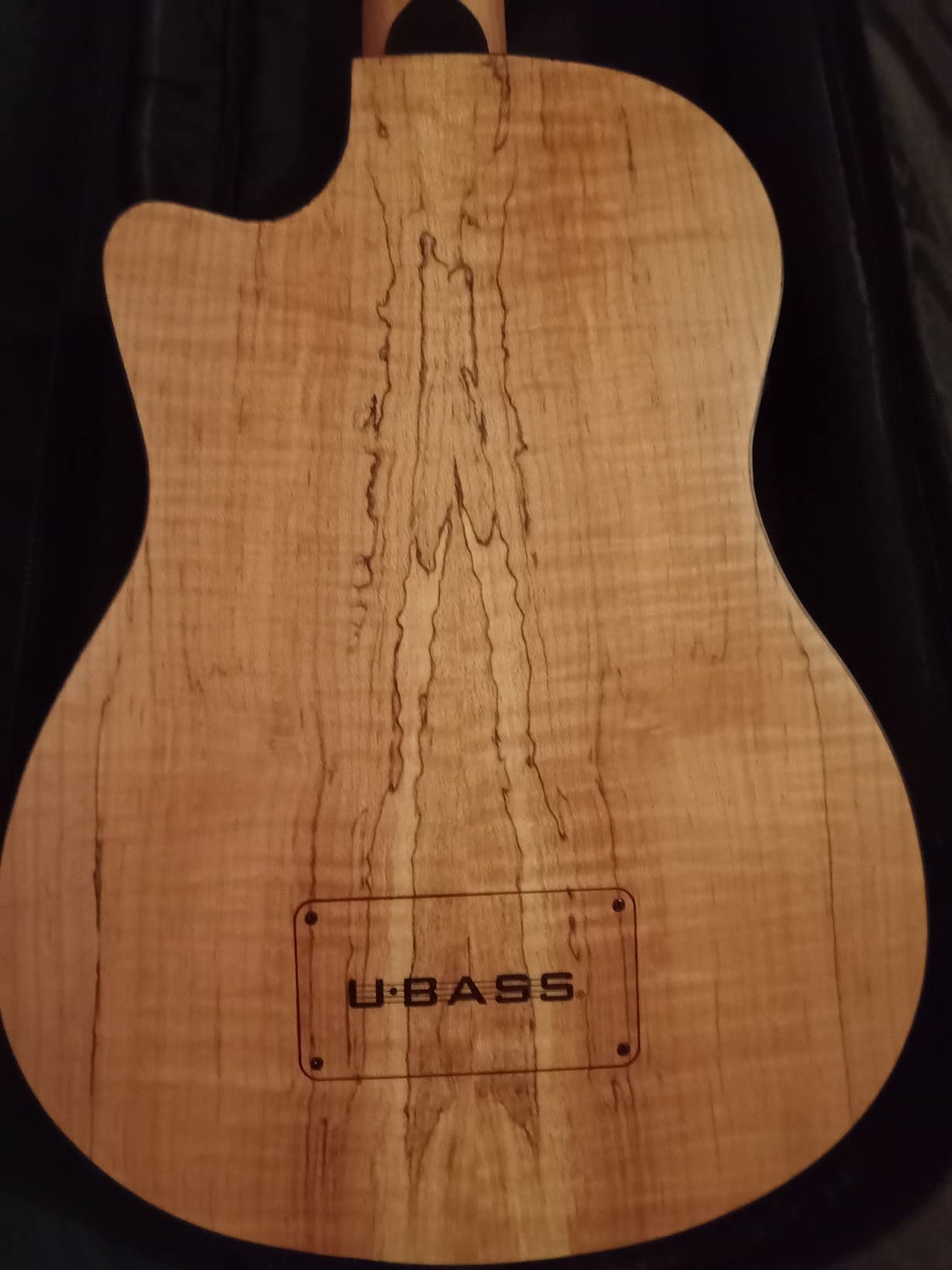 Kala UBASS-SP-MAPL-FS Spalted Maple Fretted Acoustic-Electric U-Bass customer photo 2