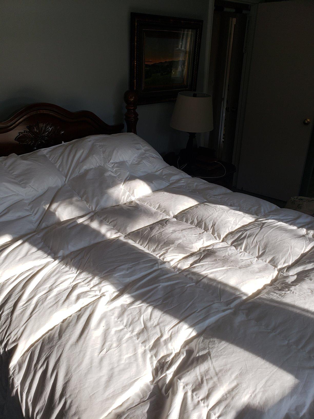 Globon Goose Down Comforter King Size, 800 Fill Power, All Season, White | Luxury Goose Down Duvet Insert, Medium Weight, Ultra Soft 420 Thread Count Noiseless Shell, 8 Corner Tabs, 106x90 inches customer photo 2