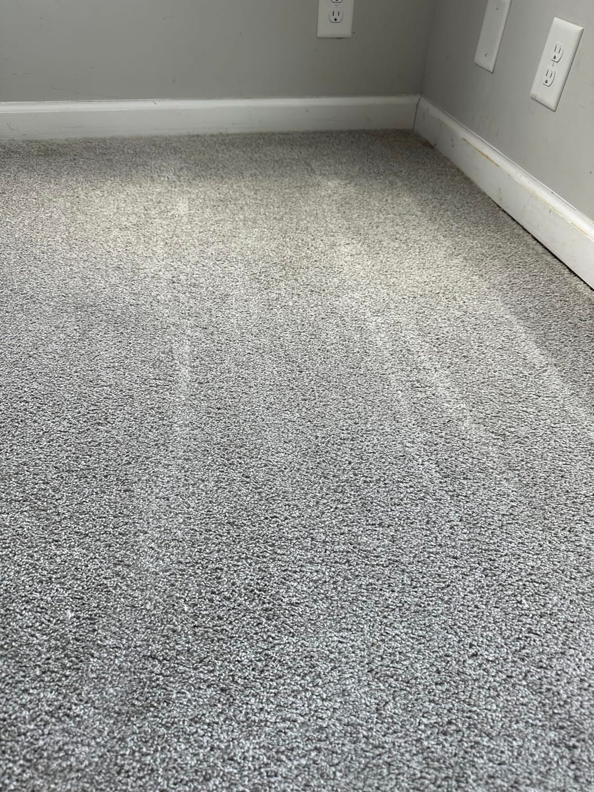 Rug Doctor Mighty Pro X3 Commercial Carpet Cleaner with Pet Cleaner Pack customer photo 2