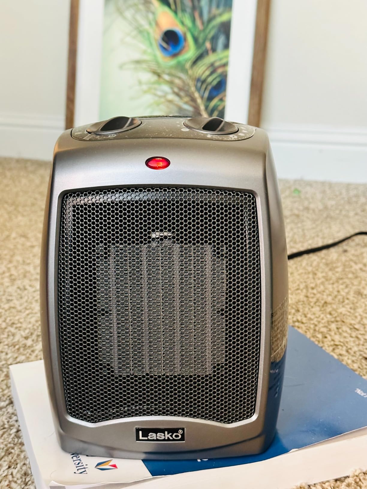 Lasko Portable Indoor Ceramic Space Heater - 9 Inch - 754201 - Dark Gray | Electric, Tip-Over Safety Switch, Overheat Protection, Thermostat, 2 Heat Settings, 2 Speeds, Safe for Home, 1500W customer photo 1