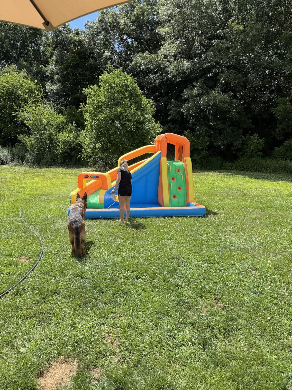 JOYMOR Inflatable Water Slide Park wtih Splash Pool, Climbing Wall, Water Cannon,Blow up Water Slides for Backyard Outdoor Fun Summer Water Plays for Party Birthday Gift (Orange & Yellow) customer photo 1
