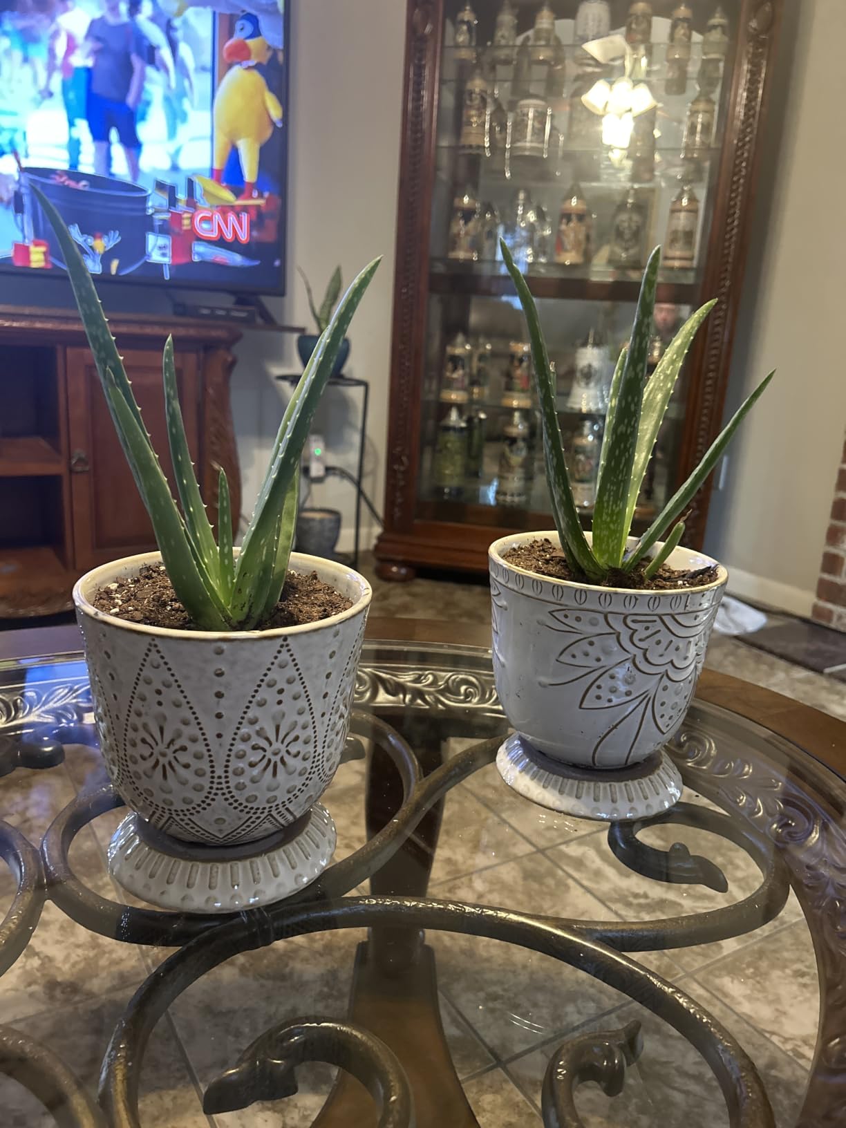 Gepege Ceramic Plant Pots, 6 Inch Indoor Planters with Drainage & Saucers, Set of 2 customer photo 1