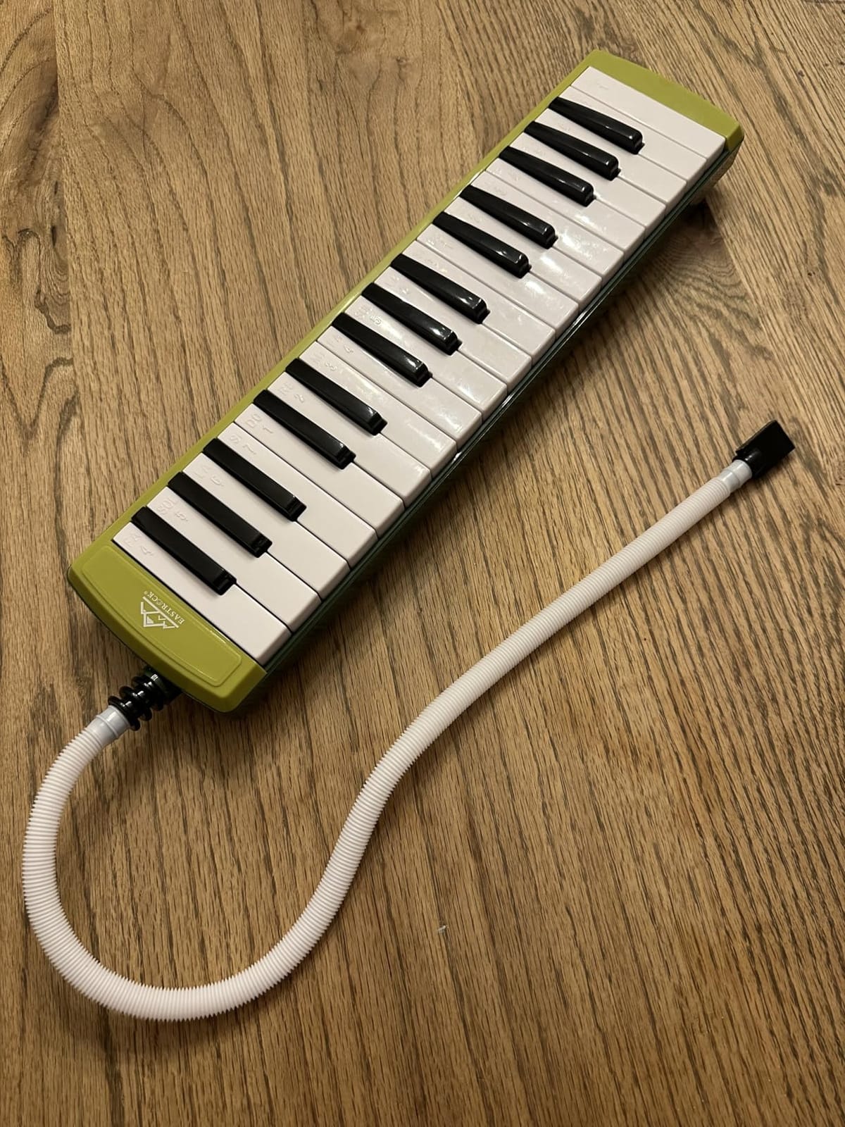 EastRock 32 Key Black Melodica Keyboard Soprano Piano Instrument with Case customer photo 1