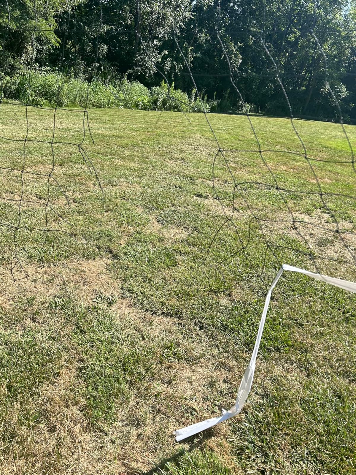 Professional Volleyball Net Outdoor Heavy Duty, All Weather Enhanced with Aircraft Steel Cable, Regulation 32x3FT Replacement Net for Backyard Beach Pool Indoor customer photo 2
