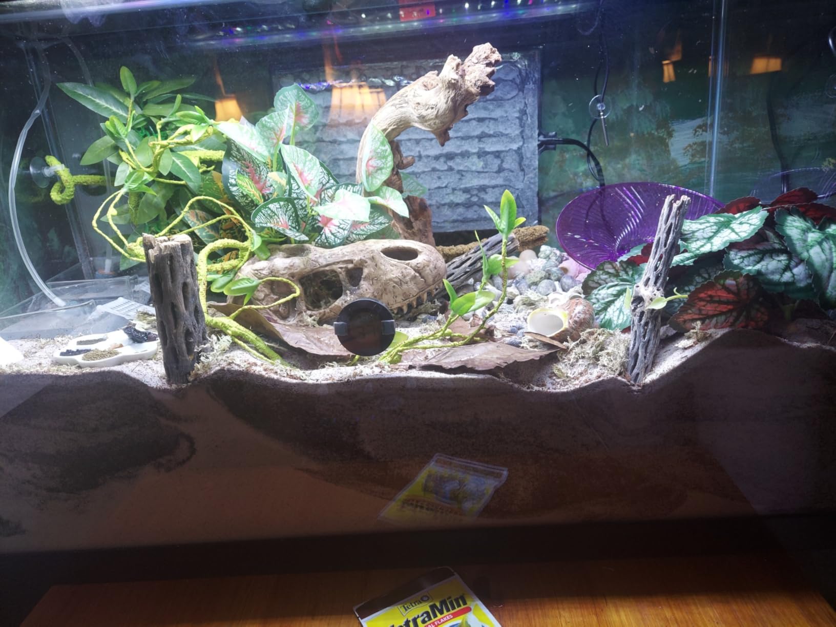 Tetra 29 Gallon Glass Aquarium, Rectangular Fish Tank | 30.19