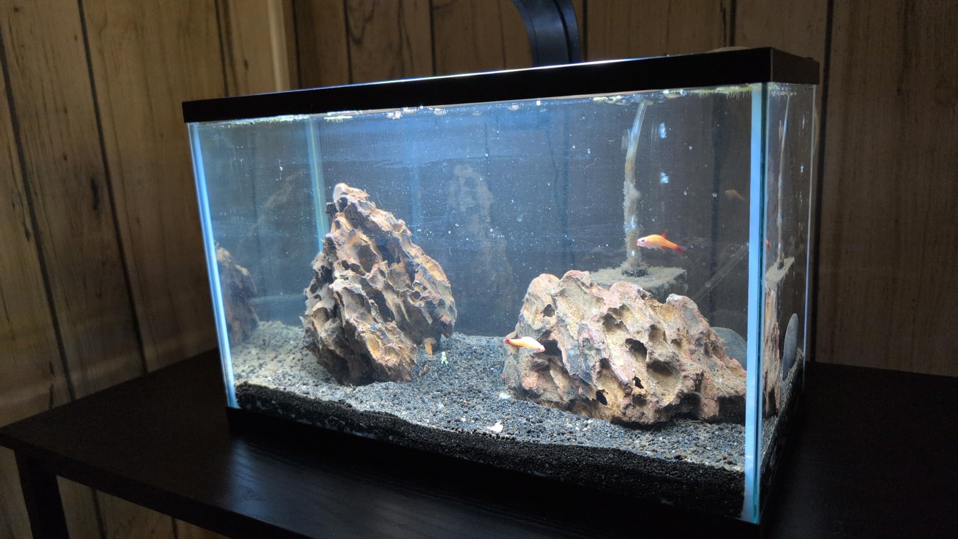 Tetra Glass Aquarium 55 Gallons, Rectangular Fish Tank (NV52018) customer photo 1